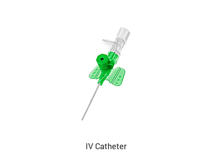 IV Catheter
